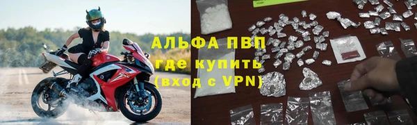 скорость Каменногорск
