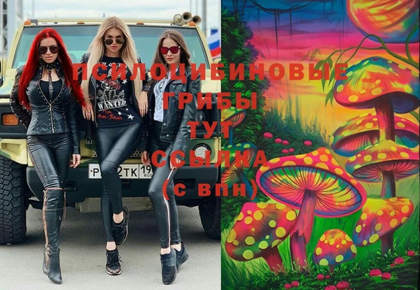 метамфетамин Каменка