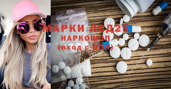 скорость Каменногорск