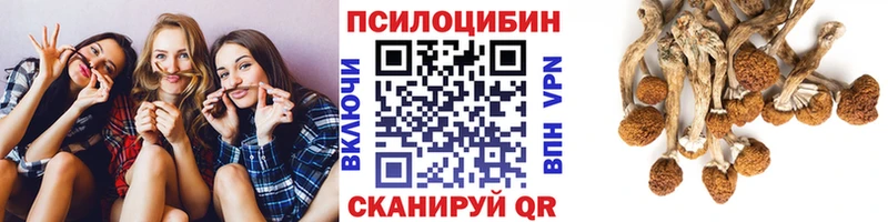 Купить закладки  Калач  Псилоцибиновые грибы ЛСД 